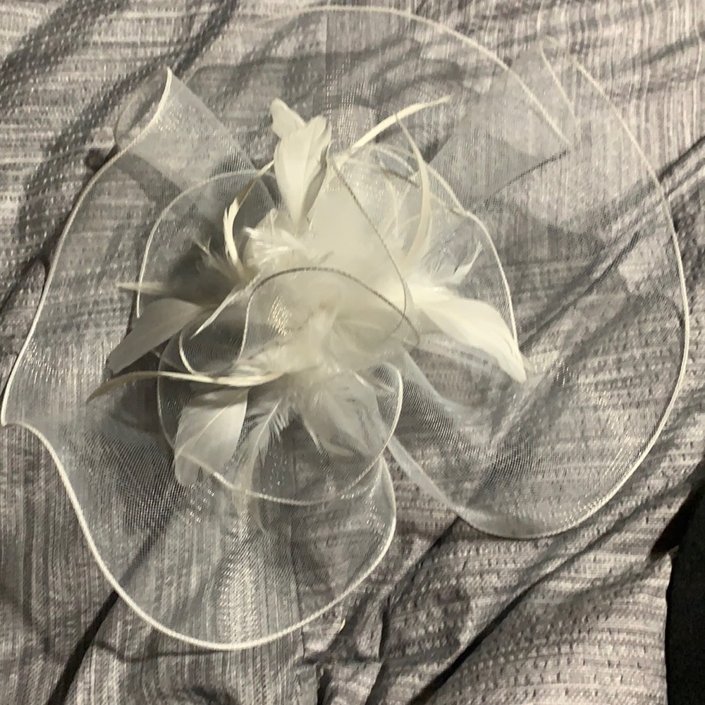 White Head Fascinatior